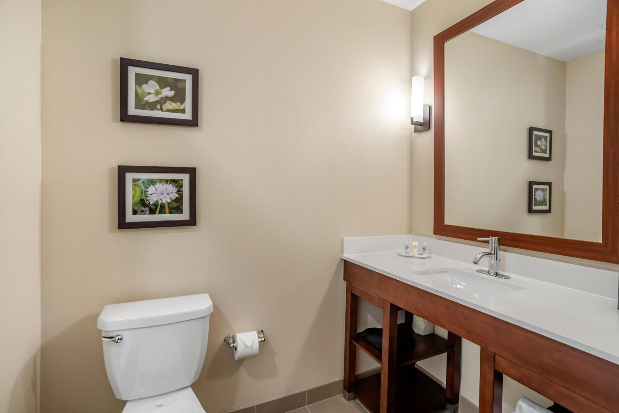 Comfort Inn & Suites Winchester Cameră foto