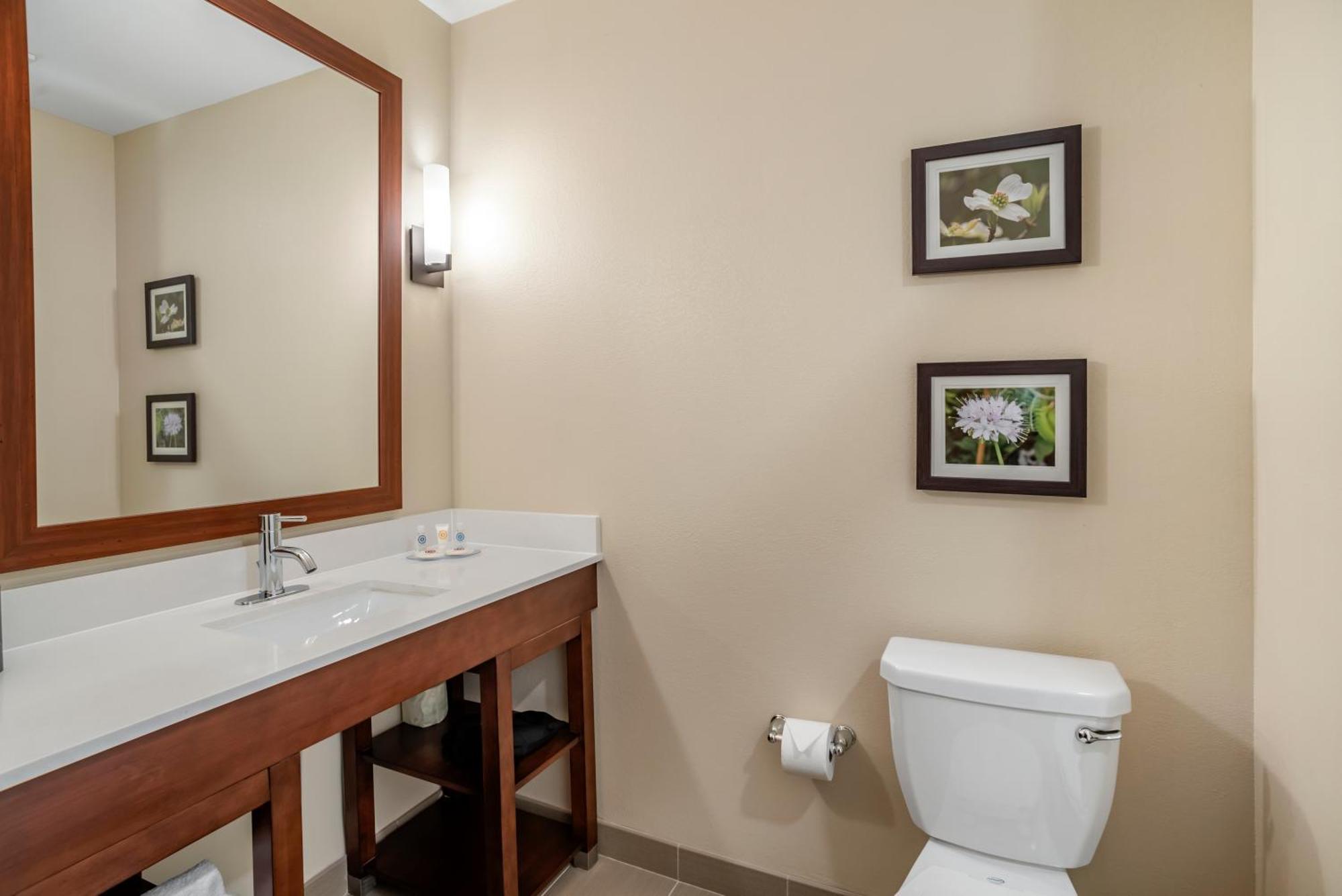 Comfort Inn & Suites Winchester Cameră foto